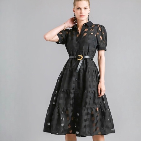 Basket Weave Organza Button Down Dress - Picture 2 of 7